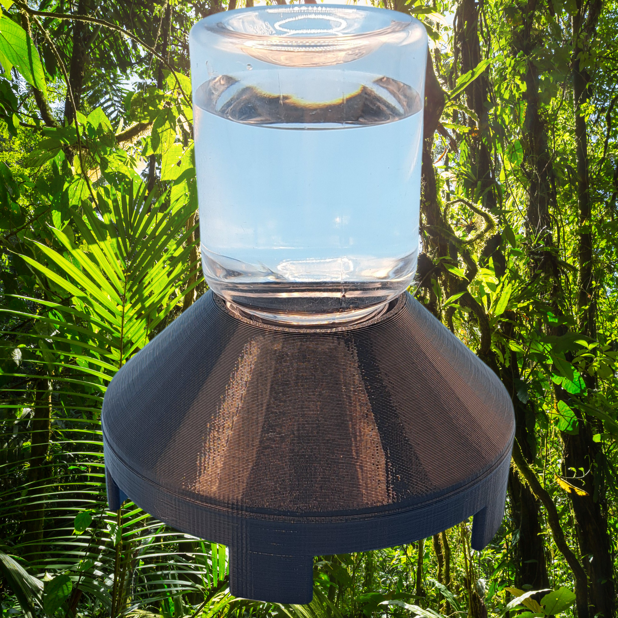 Aurexico insect waterer with water reservoir for feeder insects