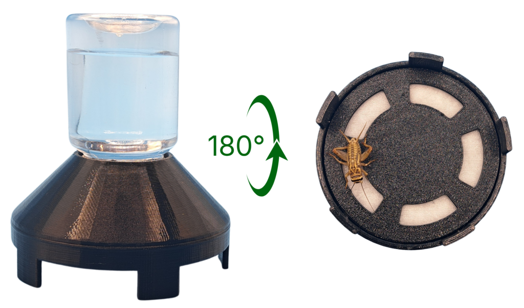 Aurexico insect waterer shown from different angles with 180 degree rotation