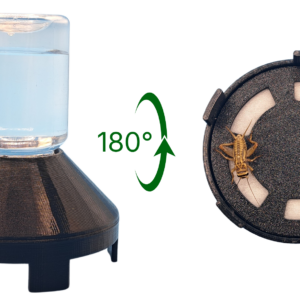 Aurexico insect waterer shown from different angles with 180 degree rotation