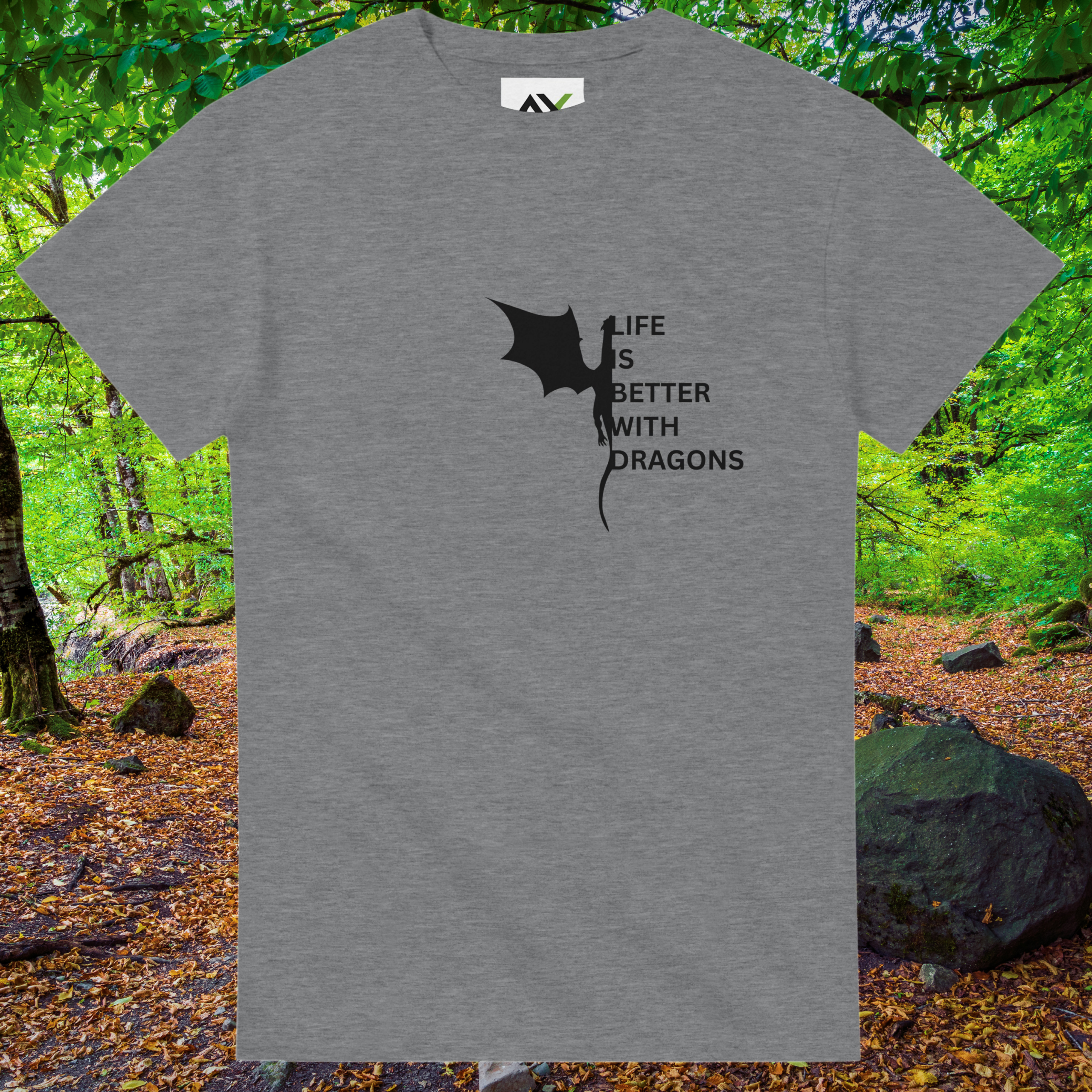 Sport grey Dragons shirt from the Life is better Collection